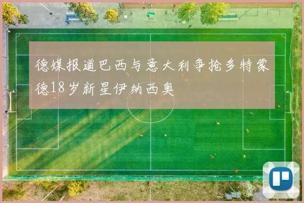 德媒报道巴西与意大利争抢多特蒙德18岁新星伊纳西奥